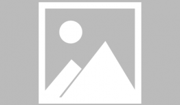 采耳的视频,探秘传统采耳技艺的视听之旅